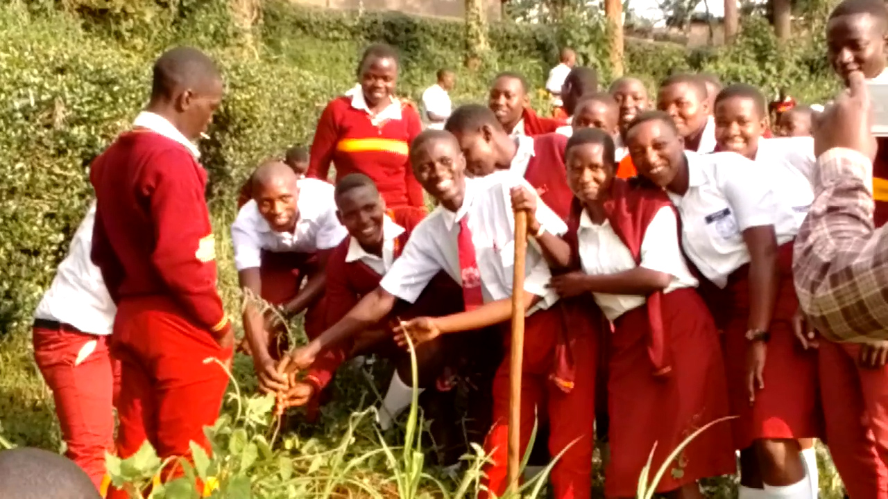 Students planting trees during a Rotary Club of Lake Bunyonyi environmental activity in Kabale, Uganda